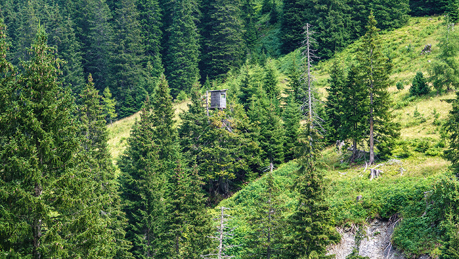 Bild © HD-Graphy.de
